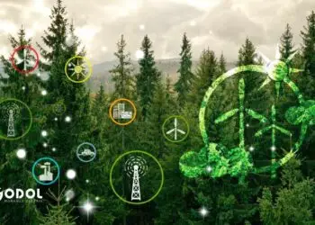 What Makes Green Sukuk Different from Green Bonds?